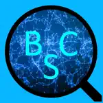 BSC Explorer App Cancel