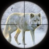 Mountains Wolf Hunting