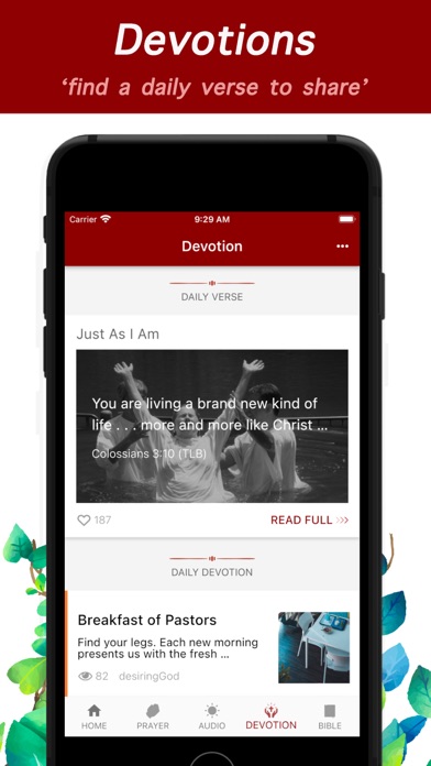 iPray with Audio Bible Screenshot