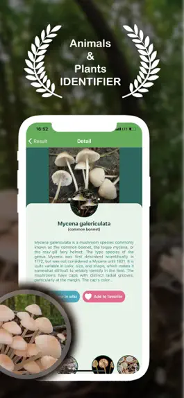 Game screenshot Animal & Plant Identifier apk