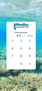 Pinellas FCU Mobile+ screenshot #2 for iPhone