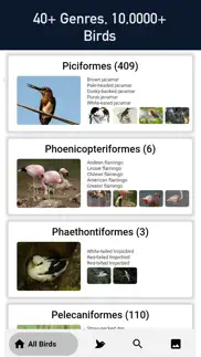 bird scanner - 10,000+ birds problems & solutions and troubleshooting guide - 1