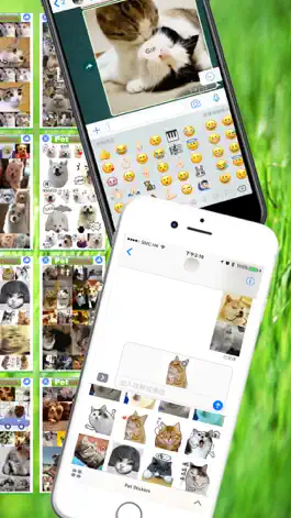 Game screenshot Pet Stickers - Cats & Dogs Animated Gif Stickers apk