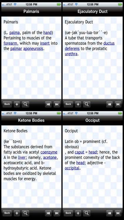 Anatomical Glossary