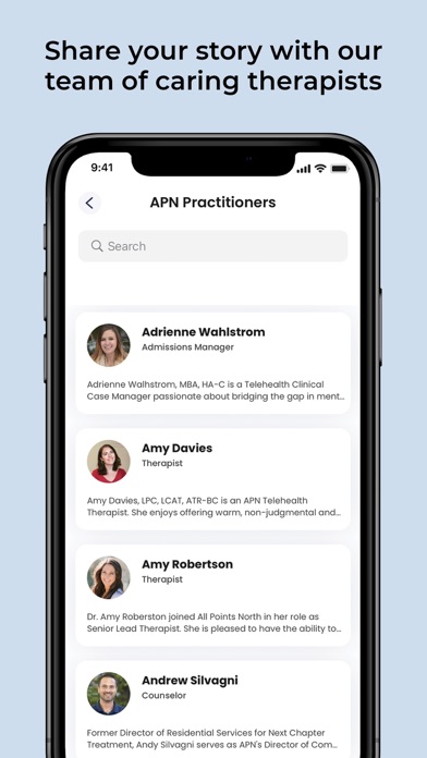 APN Connection Screenshot