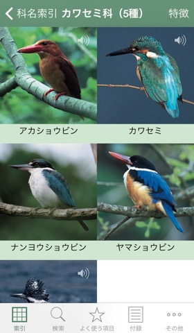 日本の野鳥（山溪ハンディ図鑑）のおすすめ画像2