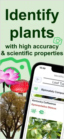 Game screenshot Forest Plant Identification mod apk