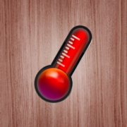 Simple Thermometer