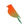 Bulbul CRM icon