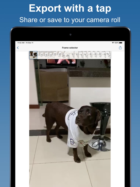 Screenshot #6 pour Video to Photo: frame grabber
