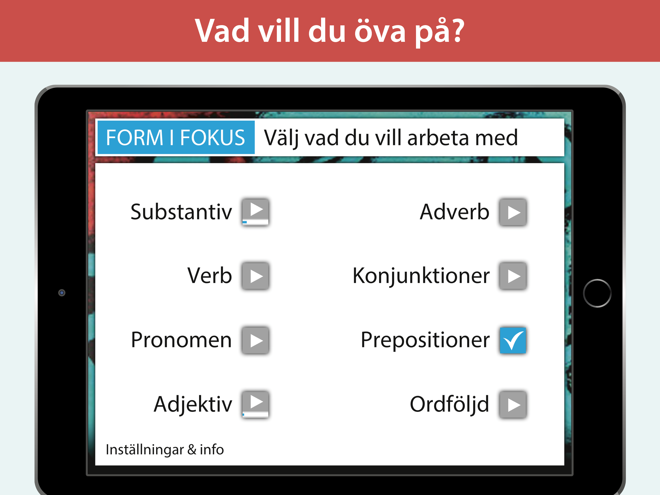 Form i fokus A – svensk grammatik