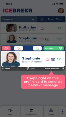Game screenshot IceBrekr hack