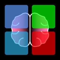 Brain Blocks