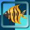 Matching Sea Fish : Memory games match game