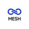 Mesh Tracking