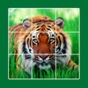 Animal puzzle: kid jigsaw game icon