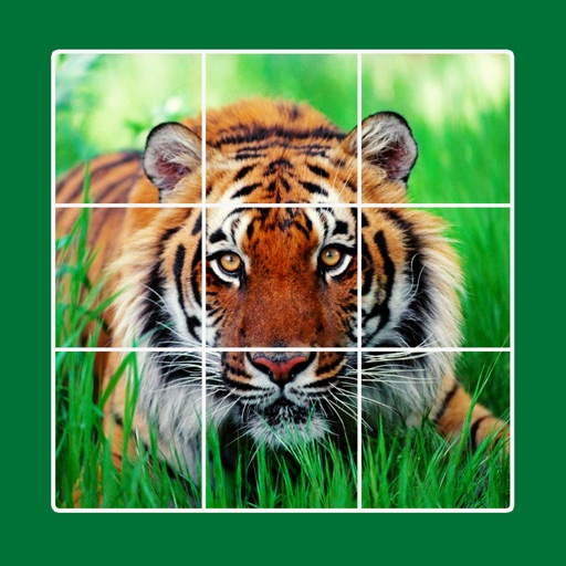 Animal tile puzzle - Животное плитка головоломка : Окончательный выпуск со слоном, льва, тигра, лошади, зебры, кролика, грызунов, белка и рыбы