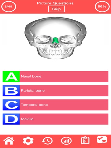 Human Skeletal System Quiz screenshot 2