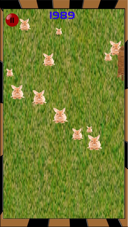 Extreme Tiger Run - Catching Rabbits Simulator screenshot-3