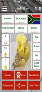 Budgerigar screenshot #3 for iPhone