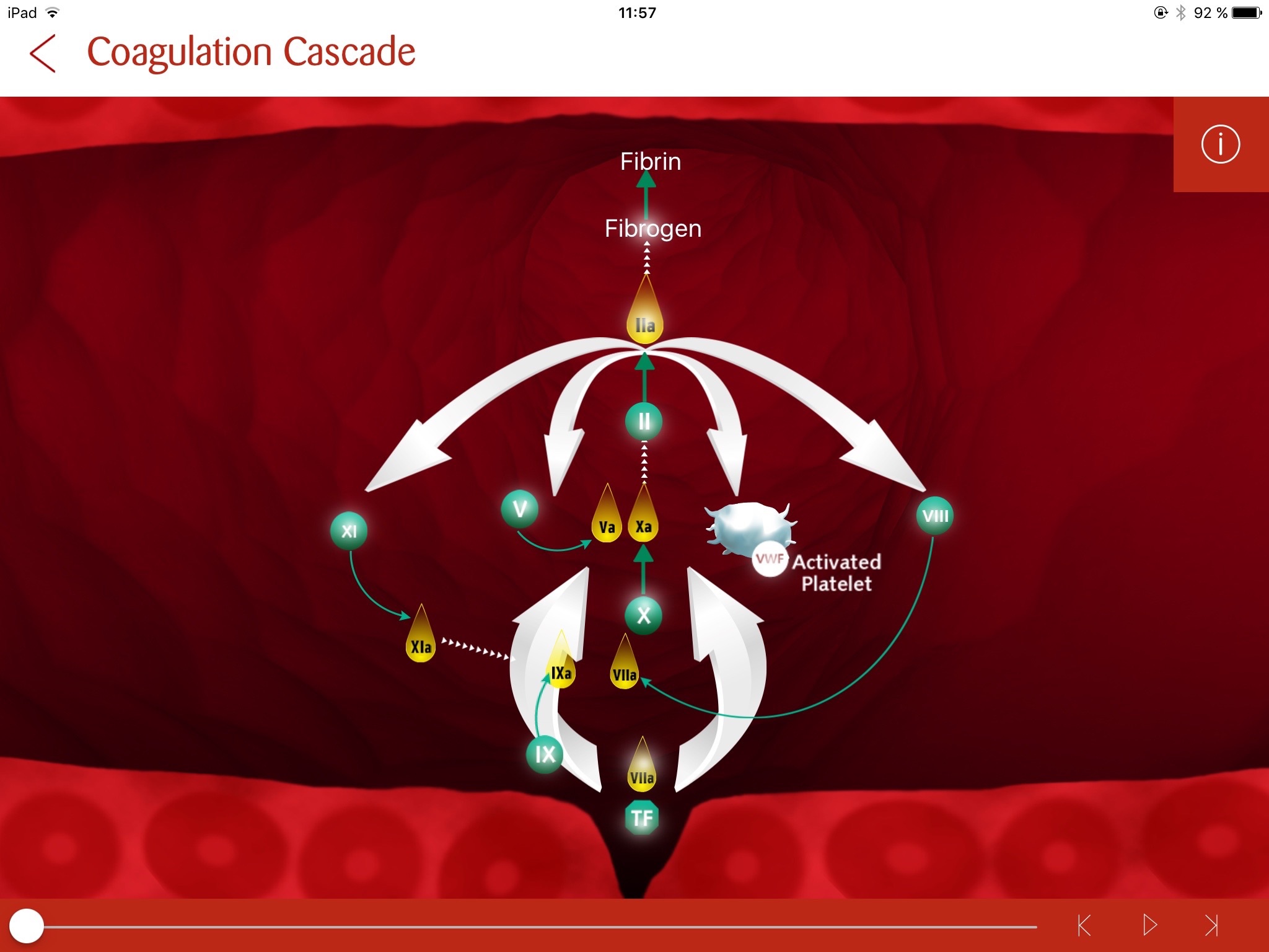 iHemostasis screenshot 3