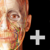 Visible Body - Human Anatomy Atlas 2023＋ kunstwerk