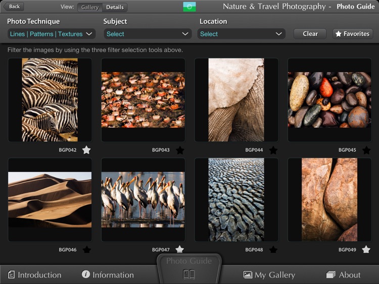 Photo Guide: Nature & Travel