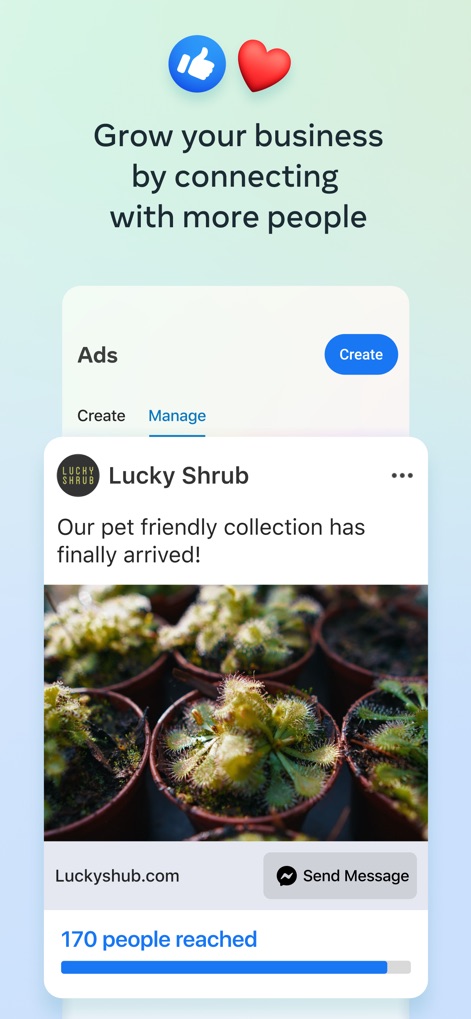 Meta Business Suite - Ad Campaign Insights
