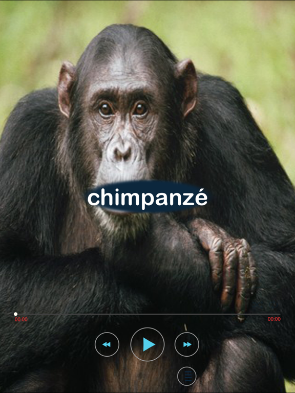 Screenshot #5 pour les animaux en français