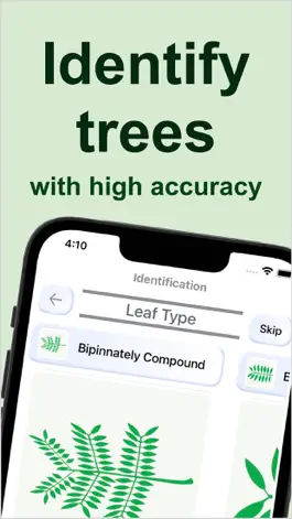 Game screenshot Forest Tree Identification mod apk