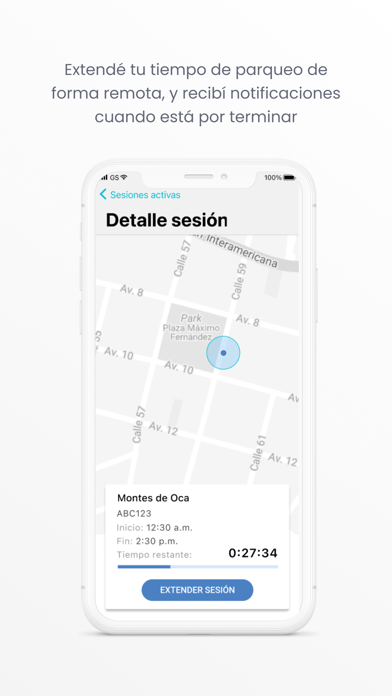 Screenshot #2 pour Parso Street Parking