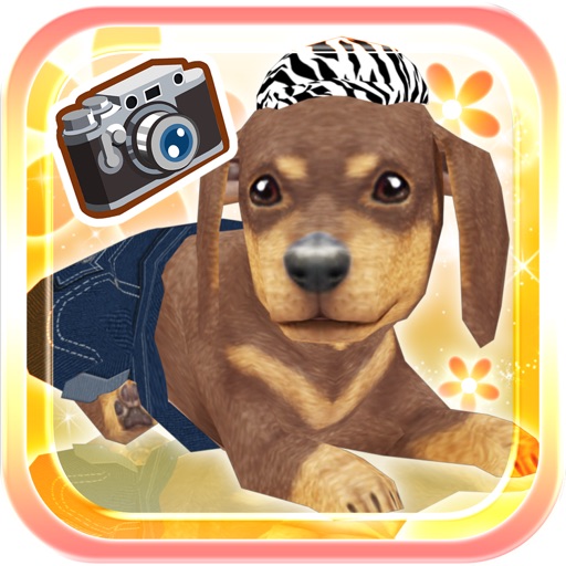 My Dog My Room Premium iOS App