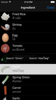 tamsang - thai food menu guide for traveler iphone screenshot 3