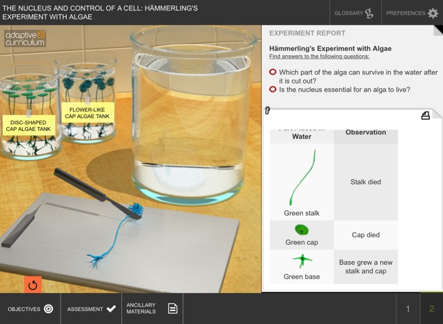 Nucleus and Control of a Cell(圖3)-速報App