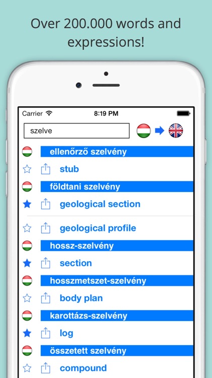 Offline English to Hungarian