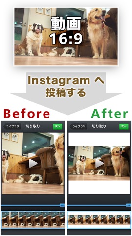 正方形どん インスタ枠と動く待ち受け画面のムービー作成のおすすめ画像1