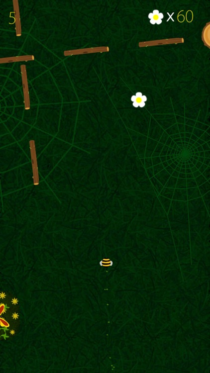 The Honey Bee Journey