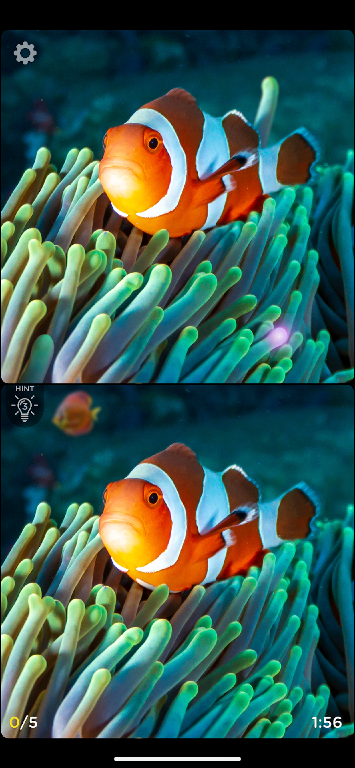 Spot The Difference: Fashion