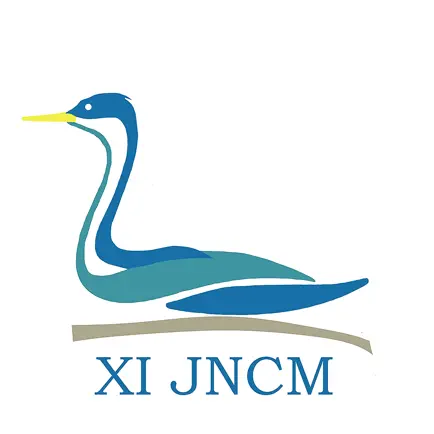 XI JNCM Читы