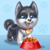My Husky Dog Pet Daycare icon