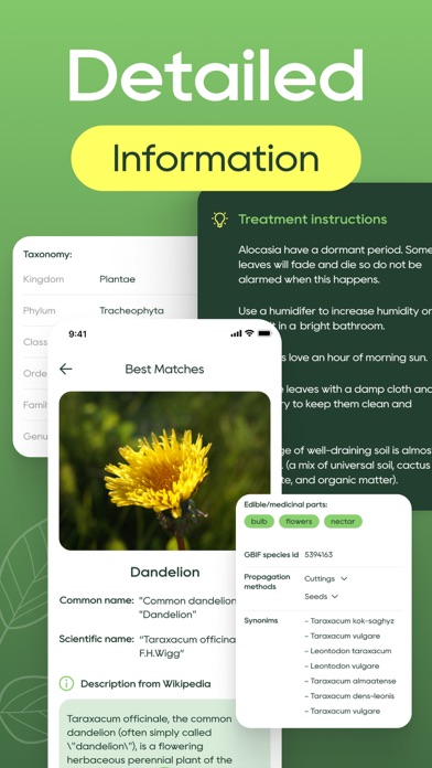 Plant Identifier: Plant Care Screenshot