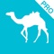 去哪儿旅行Pro—总有你要的低价!