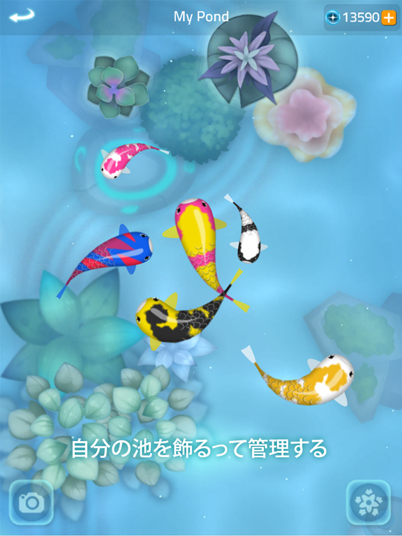 禅の鯉 2 - Zen Koi 2のおすすめ画像5