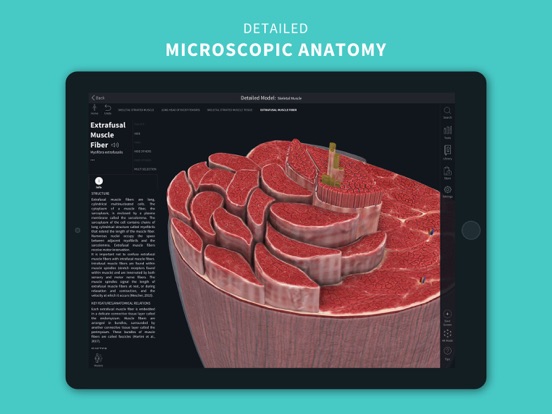 Complete Anatomy 2024 iPad app afbeelding 7