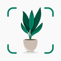 Plantify: Plant Identifier Avis