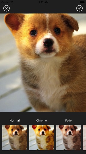 Photo Dated(圖3)-速報App