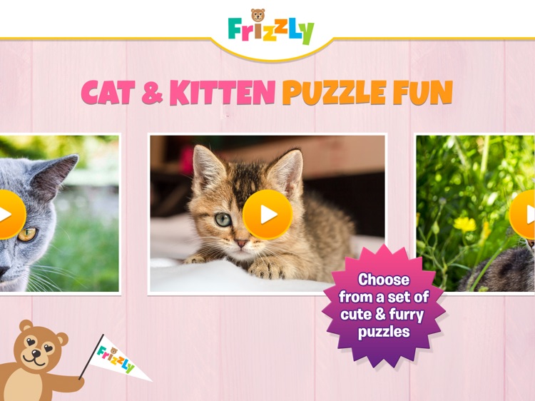 Cat & Kitten Puzzle Fun