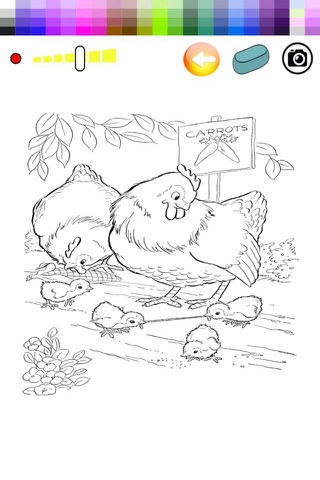 Chicken Coloring Book Game For Toddler And Zoo screenshot 2