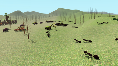 Bug Battle 3D screenshot 4