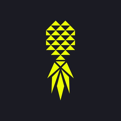 Pineapple Lifestyle icon